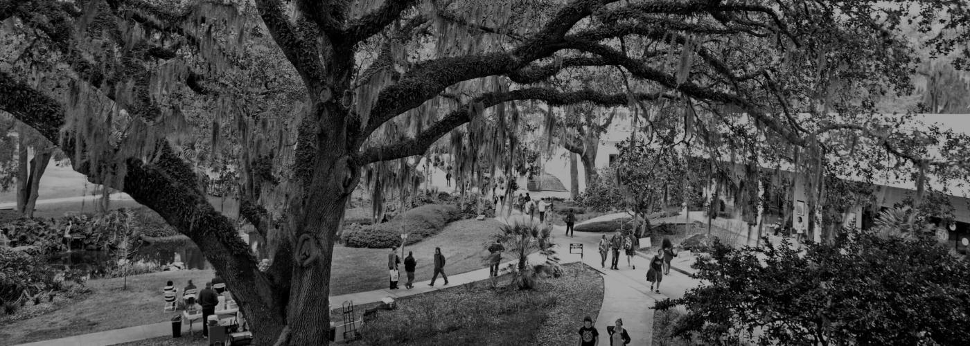 Students walking across campus quad