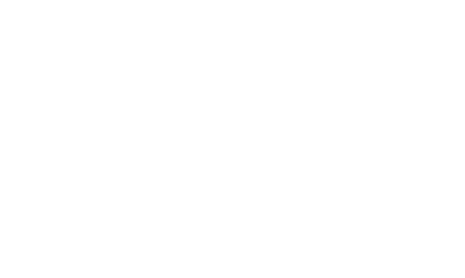 Aspen Institute